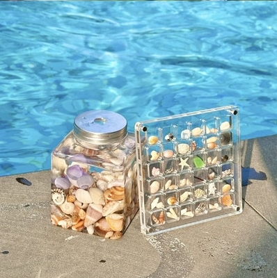 High Transparent DIY Magnetic Seashell Collection Clear Acrylic Display Case For Travelling