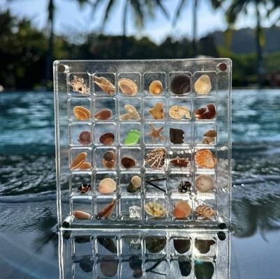 New Design Magnetic Seashell Specimen Acrylic Display Box For Jewelry Storage Box